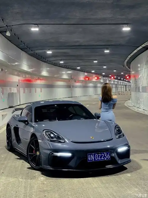 642_856竖版 竖屏