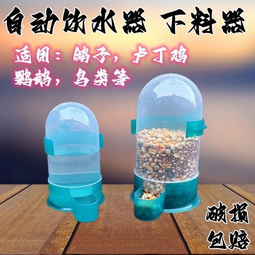 鸽子饮水器自动喂水水壶信鸽用品用具鹦鹉喂食器鸟用食盒食槽鸽具