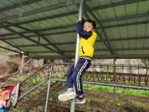 爬竿表演简直不敢想象刁,这是幼儿园的孩子所为.