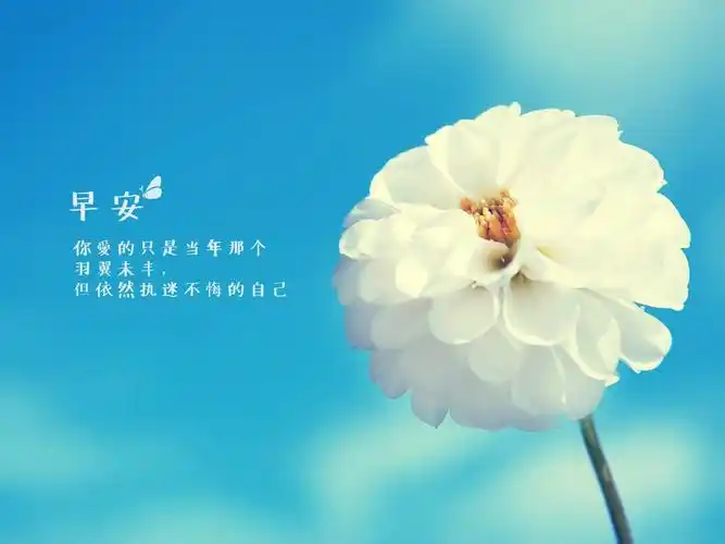 励志早安心语正能量