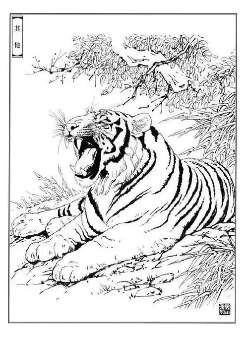画工笔画不会画虎?那是你没有临摹过这些老虎线稿,快来临摹学习