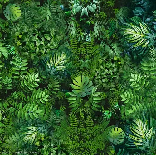 热带绿色植物贴图组合贴图用