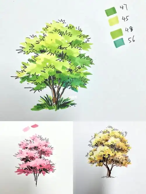 植物单体马克笔上色,用颜色表达季节