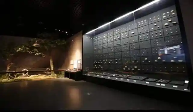 周口店博物馆的石器墙