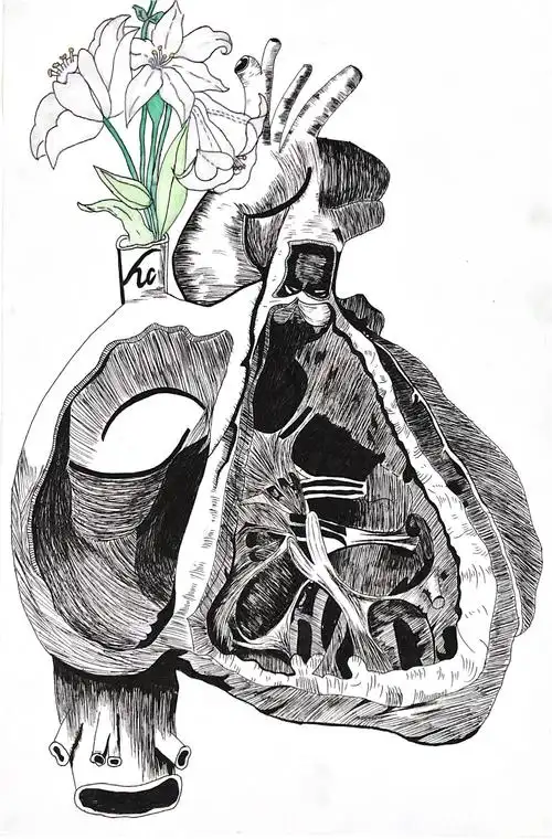 长治卫校2020年解剖模型制作及绘图大赛作品展