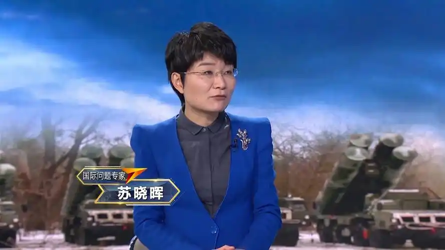 苏晓晖胡说八道却照说不误美国只为将全球目光引向俄罗斯