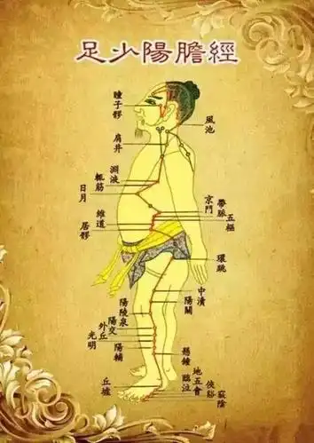 胆经不通——焦虑 肝经不通——愤怒 大肠经不通——懊悔 胃经不通