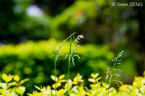 光阴不负柳暗花明