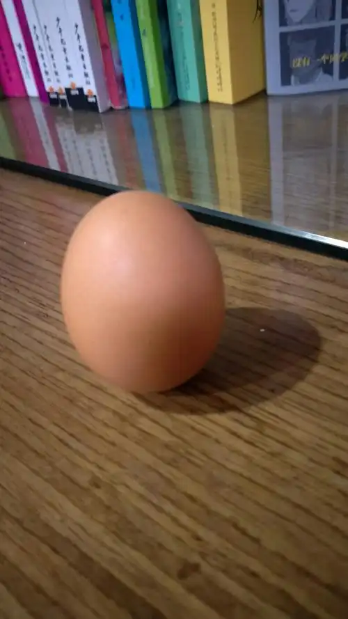 这个鸡蛋该怎样立起来呢