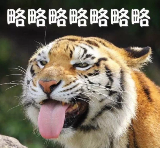 老虎 文字表情包 蠢萌 搞笑 逗