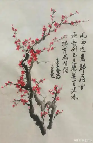 水墨国画梅花树干的布局技巧"明暗搭配交叉出枝"