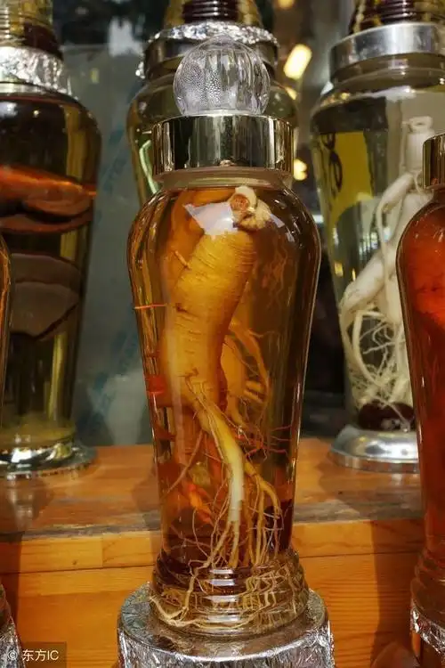 人参泡酒讲究很多,用这种酒泡药性更易被人体吸收!