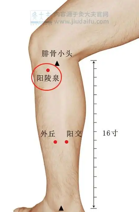 胆经一通,万病无踪! 1 个穴位通肝胆, 5 大疾病全解决_运动