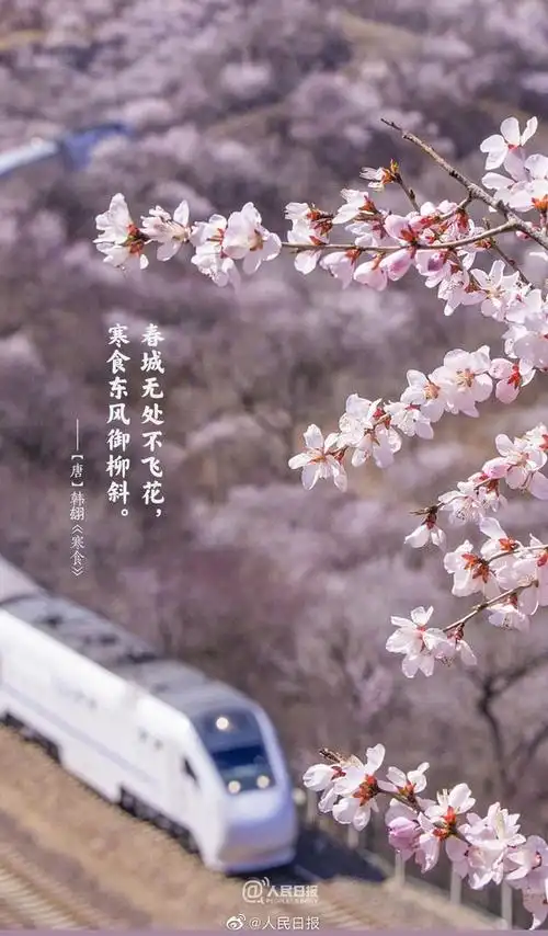 "清明时节雨纷纷,路上行人欲断魂""马穿杨柳嘶,人