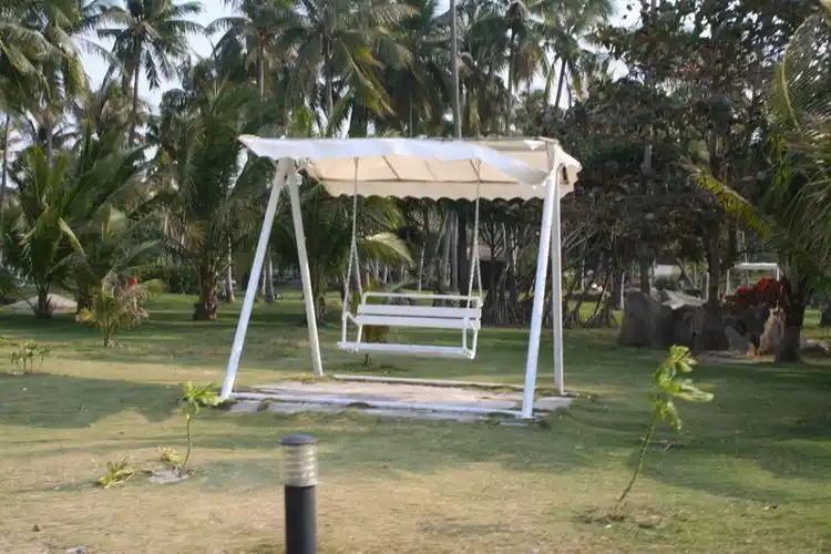 我能想到的最浪漫的事,就是坐在摇椅上和你一起慢慢变老.