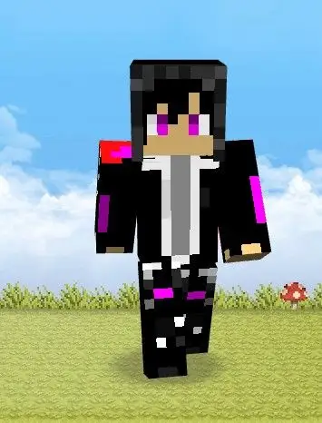 我的世界基岩d皮肤,基岩dream皮肤怎么弄