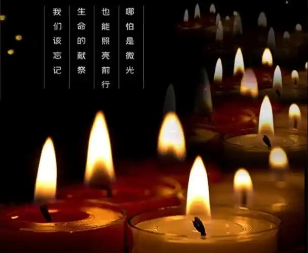 分钟涉县教体系统深切哀悼在抗击疫情斗争中牺牲悼念沉痛悼念姐夫王金