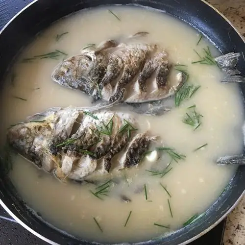 小葱拌豆腐979做的鲫鱼汤