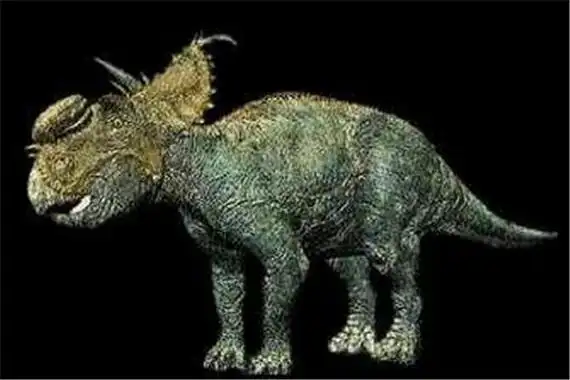 无鼻角龙短鼻角的远古恐龙食草类型的恐龙