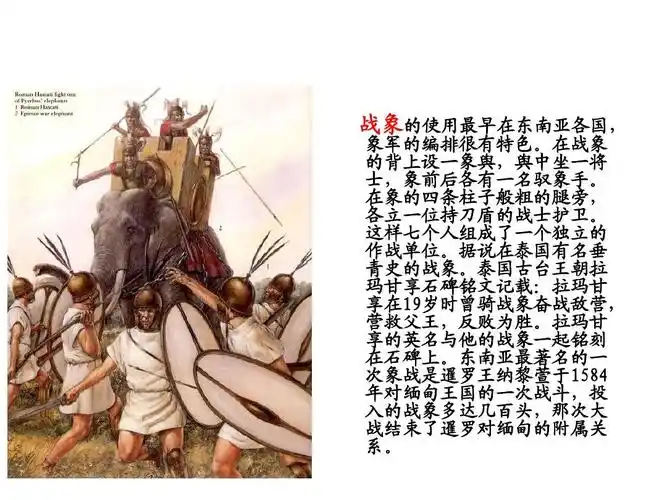 人教新课标六年级上册语文课件-第23课最后一头战象ppt