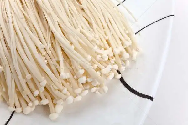 商业照片: 针    蘑菇            射击 / golden needle mushroom