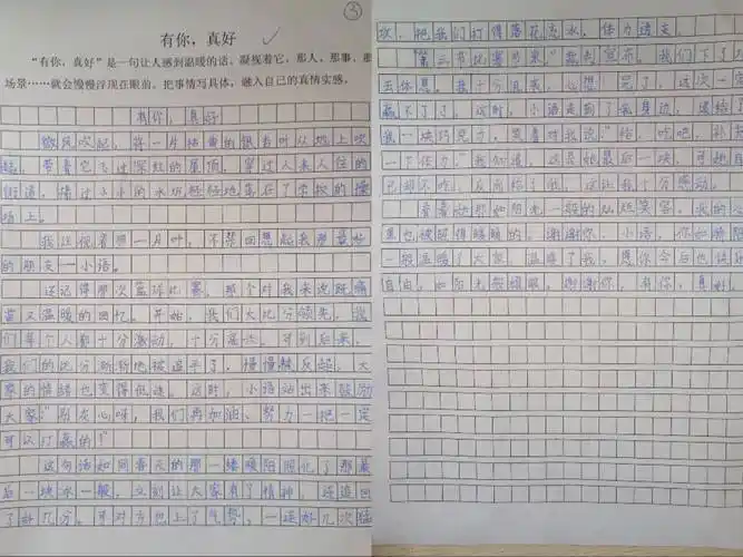 —濮阳市油田第三小学六年级组"作文选拔赛"圆满