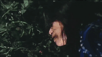 356_200gif 动态图 动图