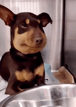 244_345竖版 竖屏gif 动态图 动图