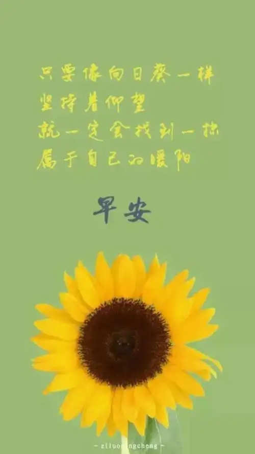 早安图片问候语 早安问候图片