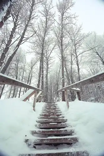 乡村景观的下雪的冬天