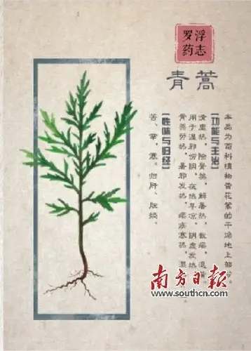 屠呦呦获诺奖带来什么启示?