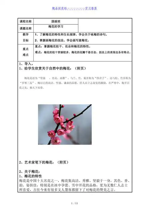 国画梅花教案