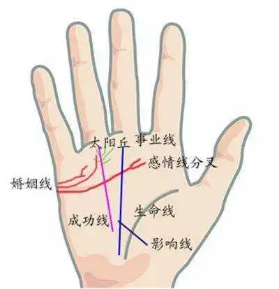 必娶富豪的女人手相特点分析