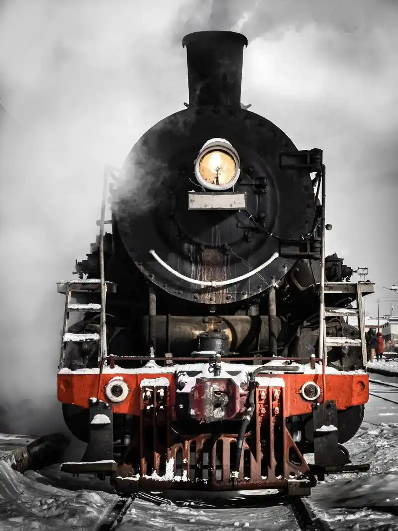 蒸汽机车 我觉得很魔幻 白色的蒸汽里冲出一条钢铁巨龙 上次坐 - 抖音