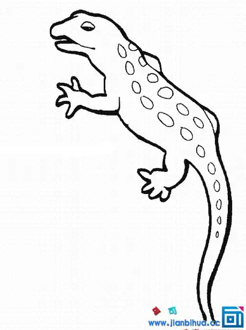 儿童画壁虎的简笔画作品