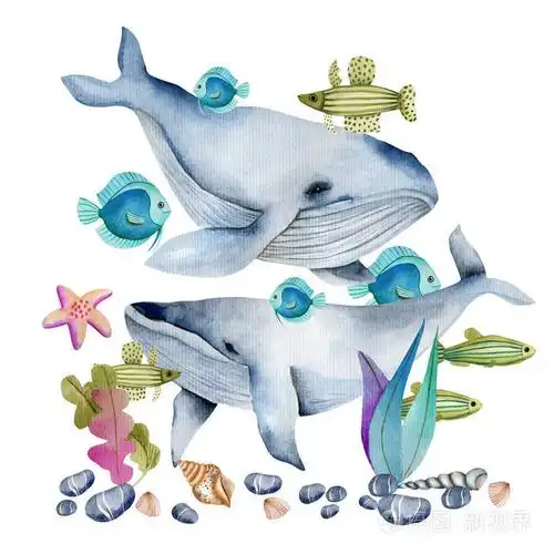 水彩鲸在海洋鱼类中的插图,手绘在白色背景上