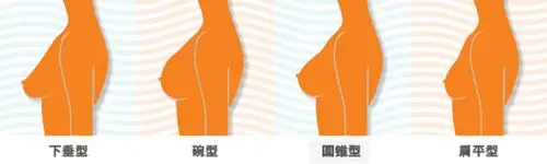 她们"看上去"胸很大?其实是小胸 穿对了内衣