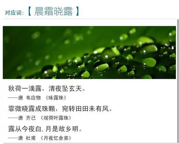 摘抄作文-小学生作文提高训练,每天十个素材摘抄之冷露无声 - 励志人