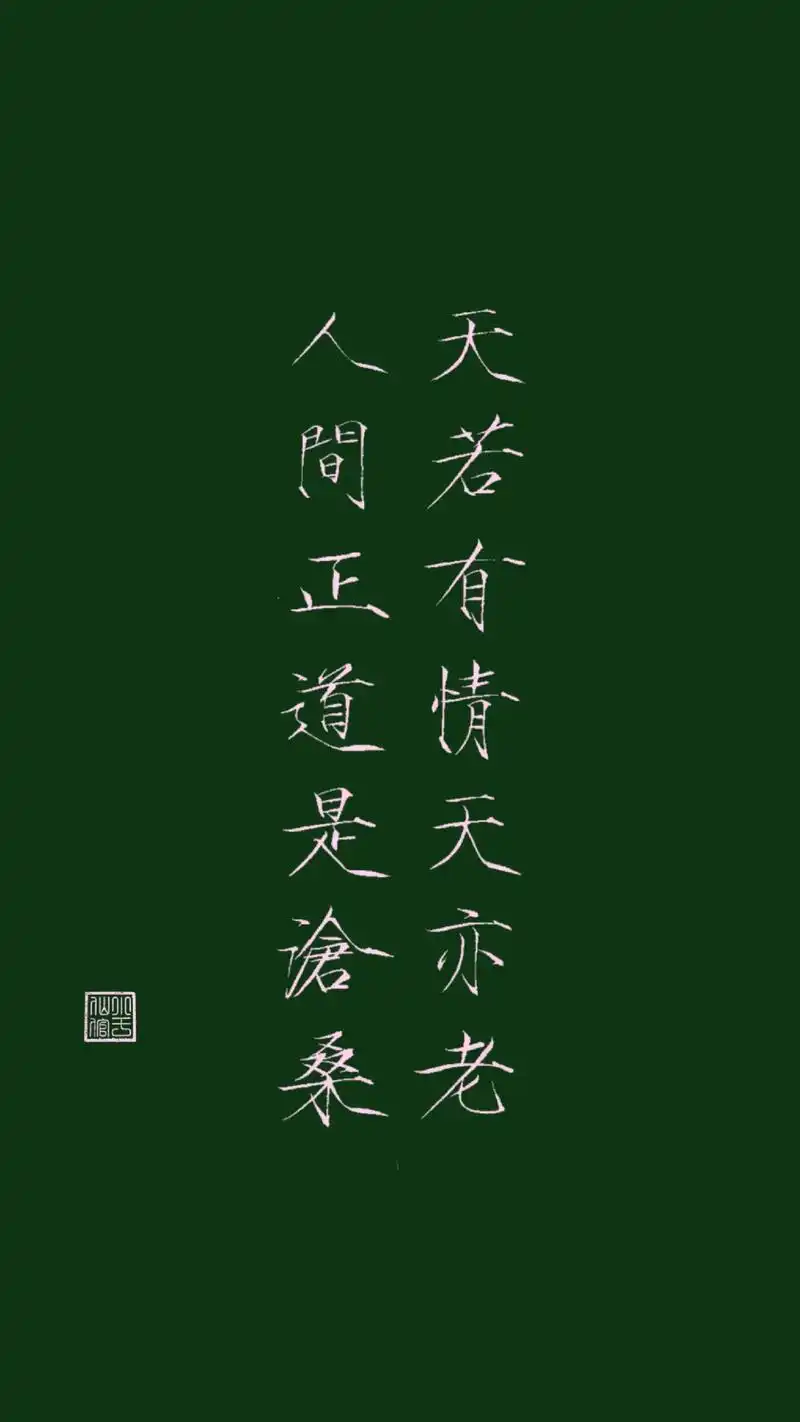 天若有情天亦老,人间正道是沧桑.#沉鳞阁#瘦金体#诗词 - 抖音