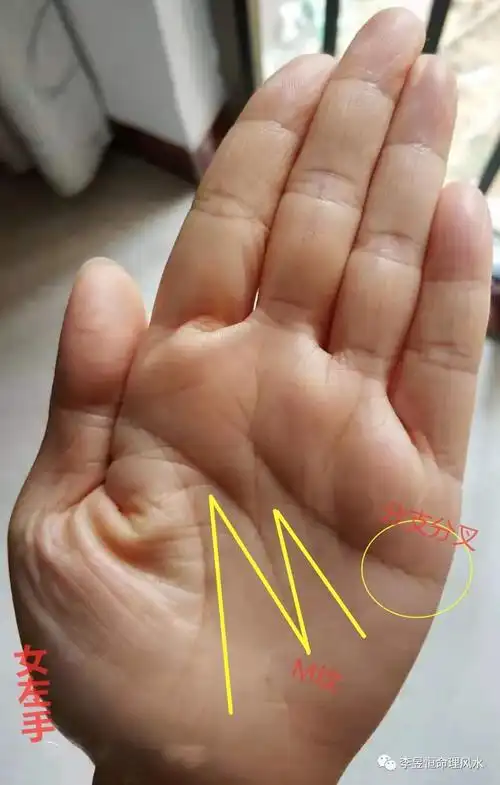 手相:手有冲天纹,注定有福气,不受穷!