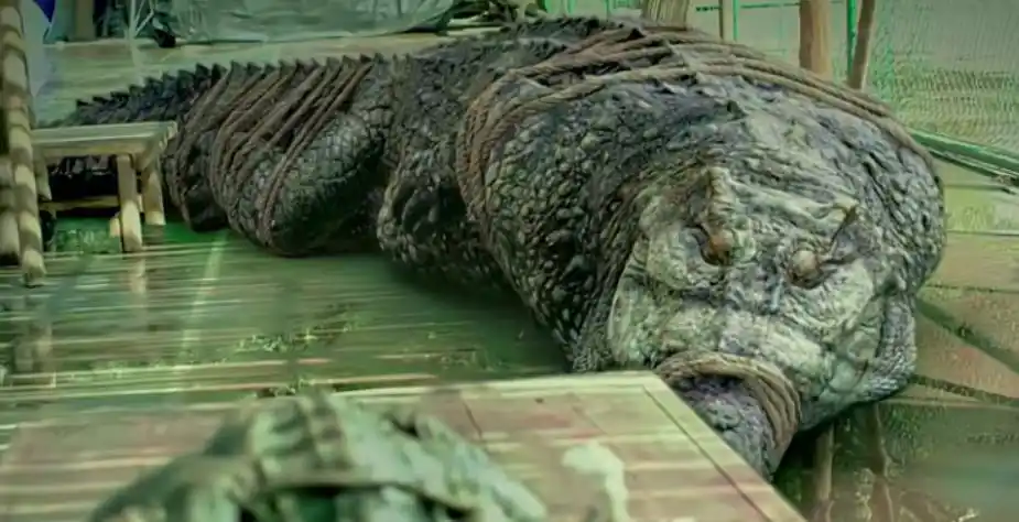 解读《百万巨鳄》:鳄鱼发狂袭人,错在鳄鱼,还是错在人类?__凤凰网