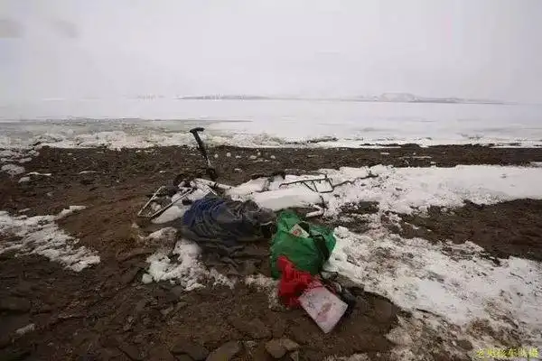 那个在可可西里失踪的女大学生可惜了