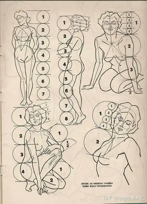 速写--绝版的伯里曼人体结构绘画教学 - 知乎