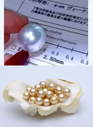 南珠宫珍珠科普丨手把手教你,5分钟分清市场上主流的珍珠