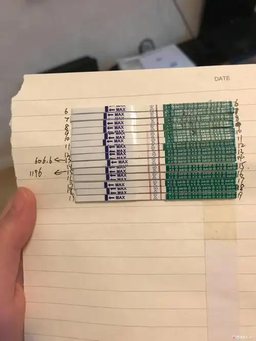 [试管婴儿]大卫早早孕颜色变化