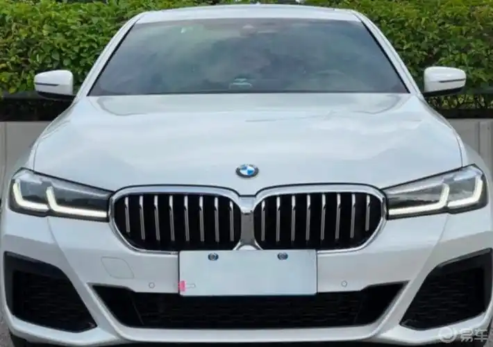 宝马5系530领先运动版白外内干邑色