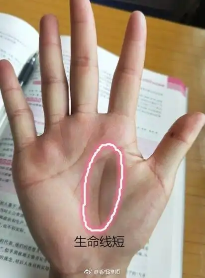 1,女人手掌生命线 1生命线深,而且明显,并泛出淡红的色泽,则主人体质