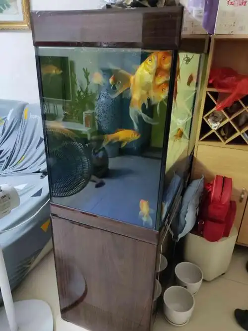 鱼缸超低价出让