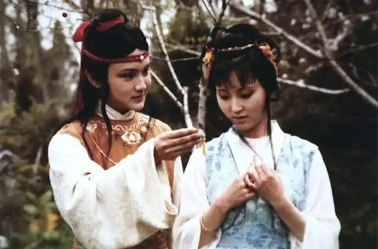 林黛玉是哪里人她是贾宝玉的什么亲戚