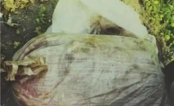 21岁重庆女孩异地被分尸抛尸一个月后发现,卡里9万元钱被转走!